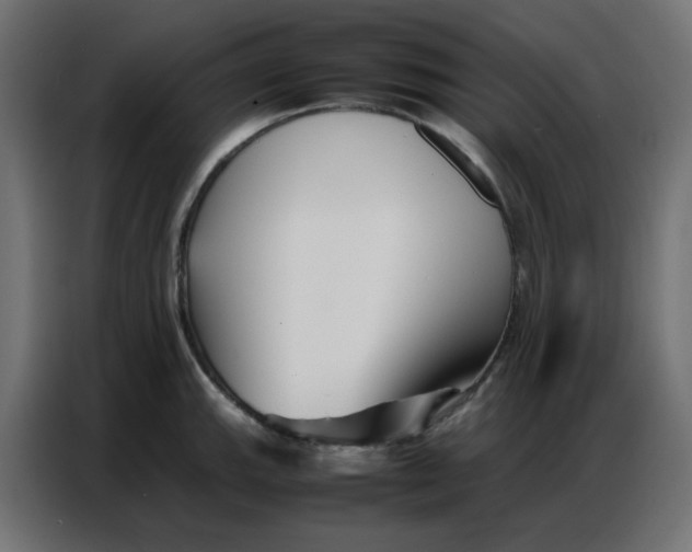 X0000086741143200705041402