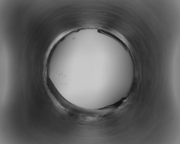 X0000086741144200705041402