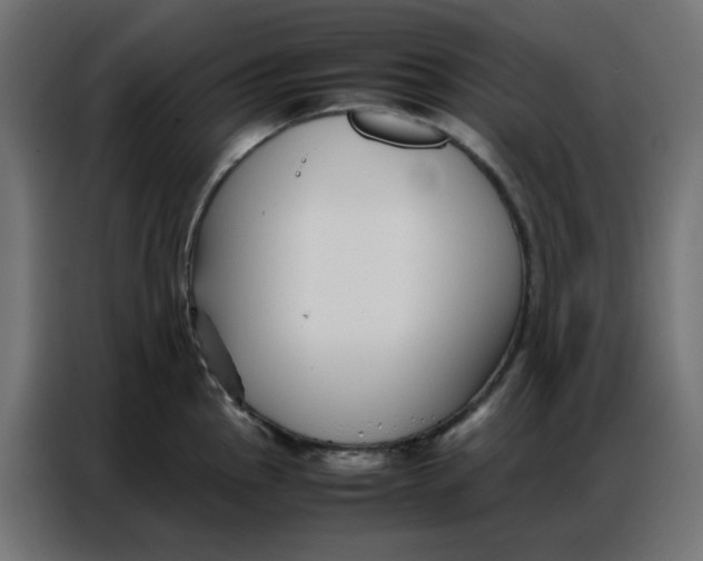 X0000086741145200705041402