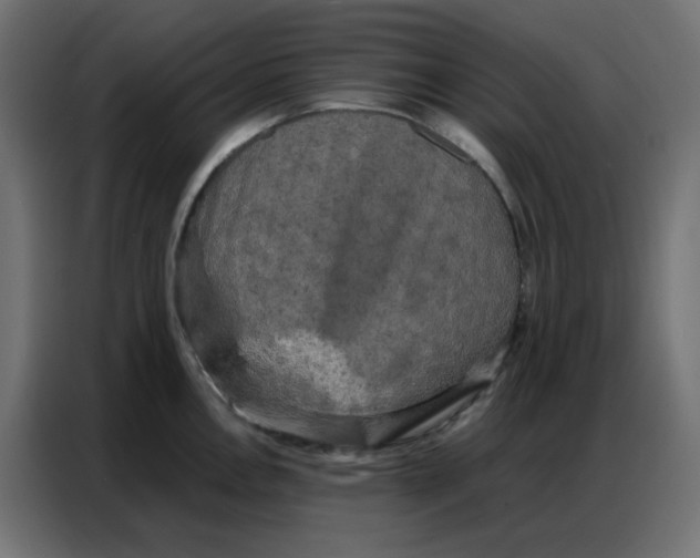 X0000086741146200705041402