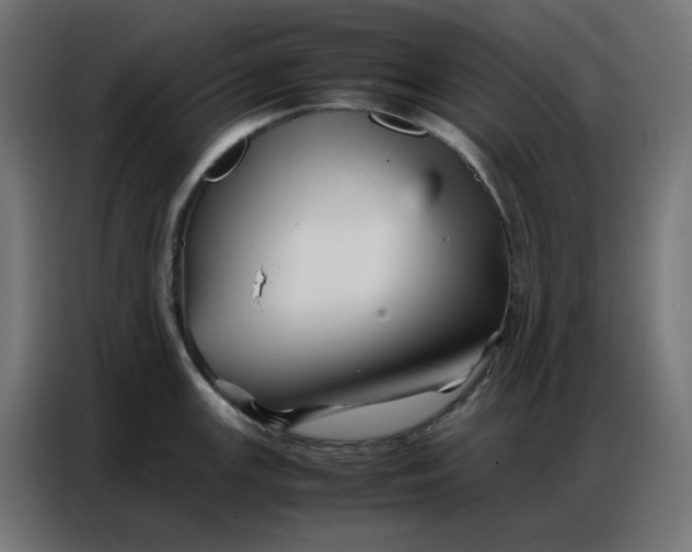 X0000086741147200705041402