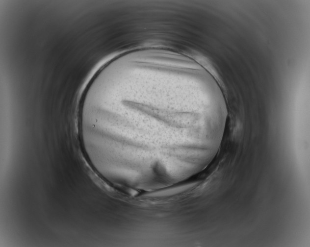 X0000086741148200705041402