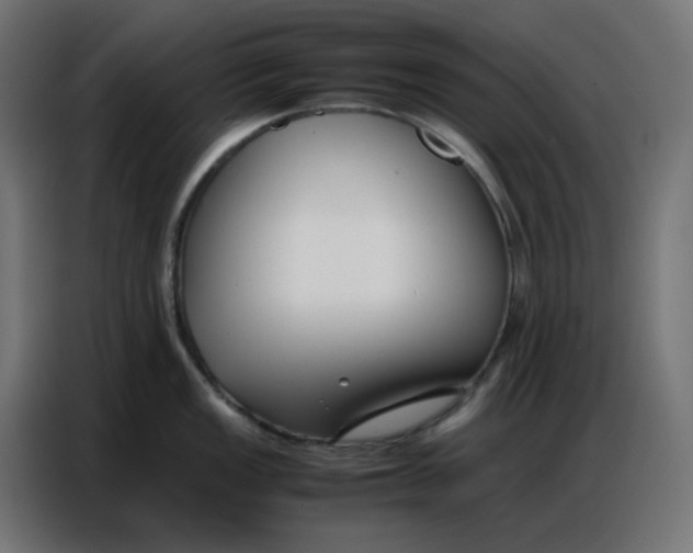 X0000086741149200705041402