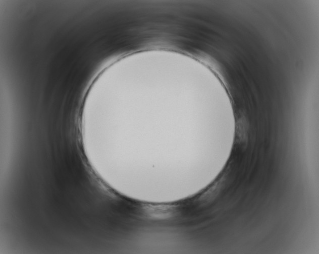 X0000086741150200705041402