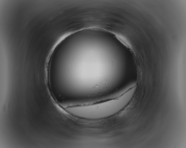 X0000086741151200705041402