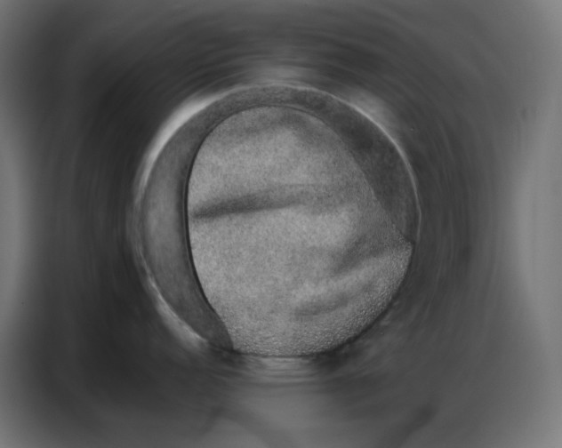 X0000086741152200705041402