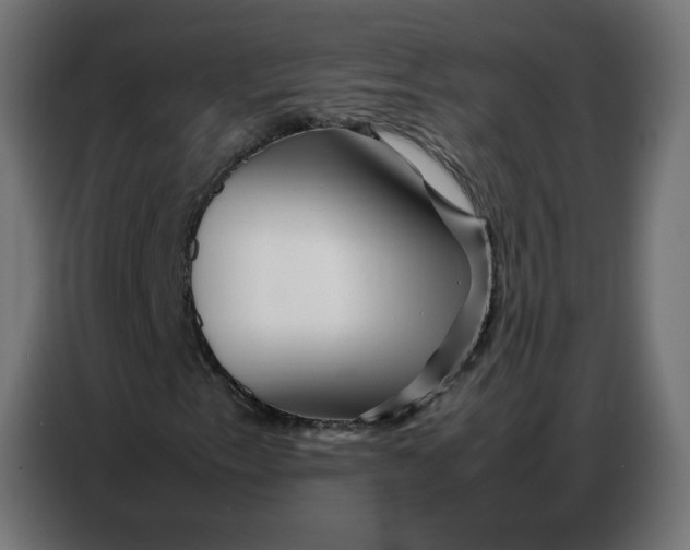 X0000086741153200705041402