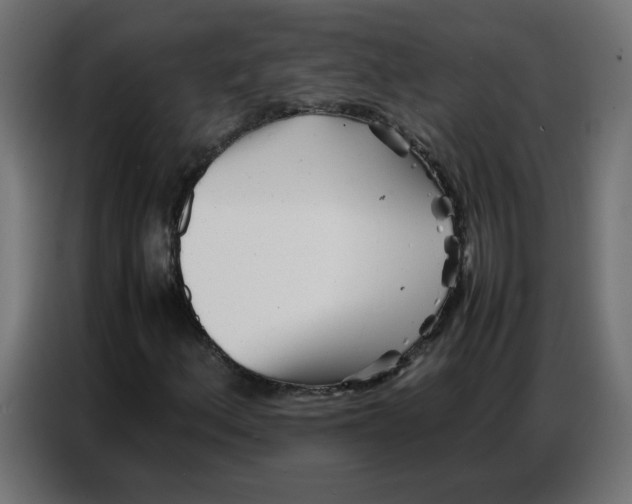 X0000086741156200705041402