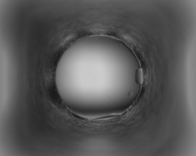 X0000086741157200705041402