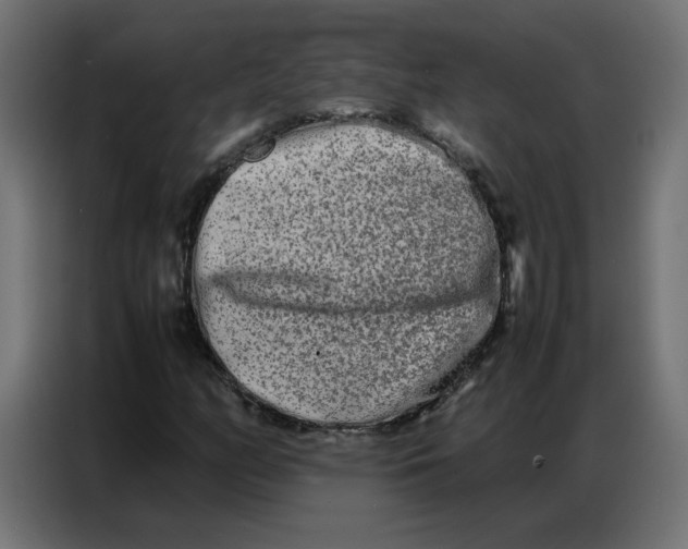 X0000086741158200705041402