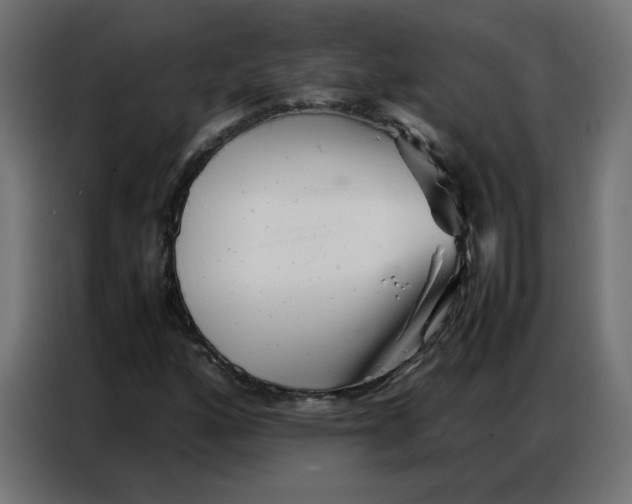 X0000086741160200705041402