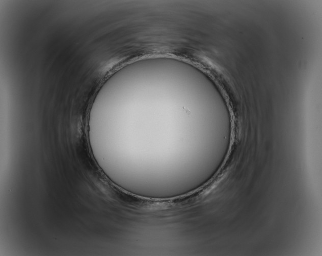 X0000086741161200705041402