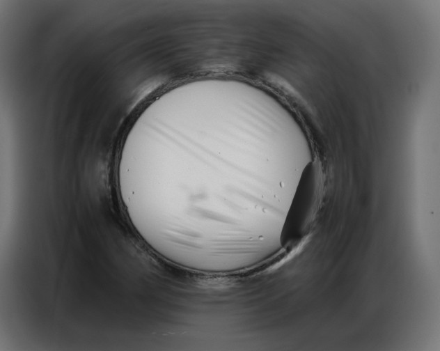 X0000086741162200705041402