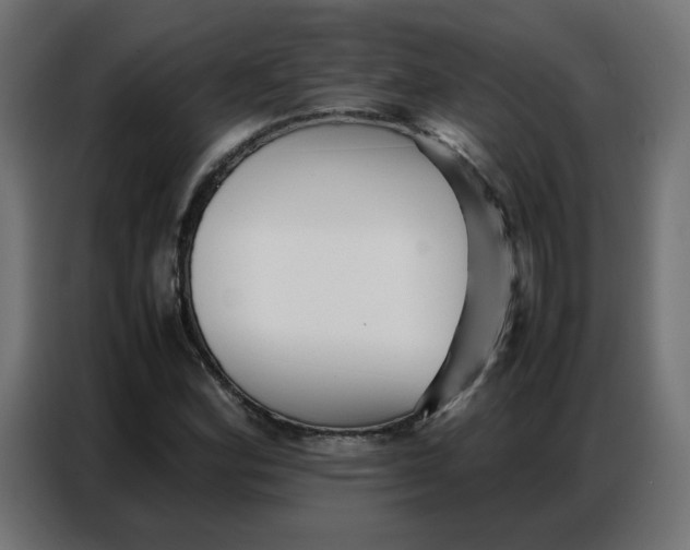 X0000086741164200705041402