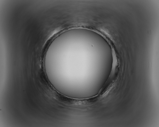 X0000086741165200705041402