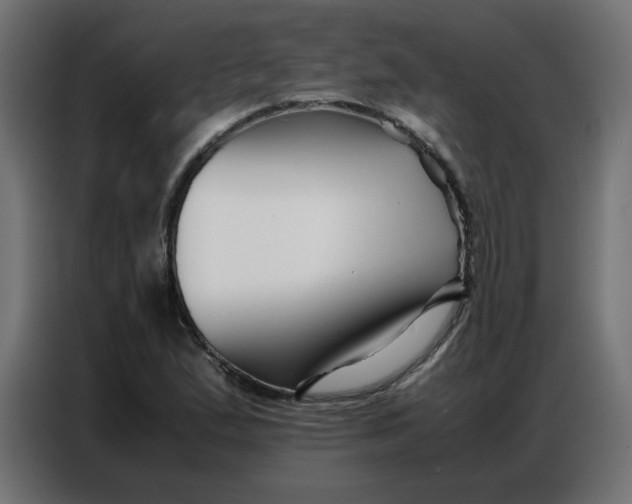 X0000086741167200705041402