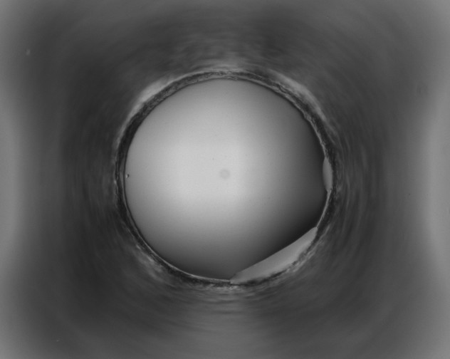 X0000086741168200705041402