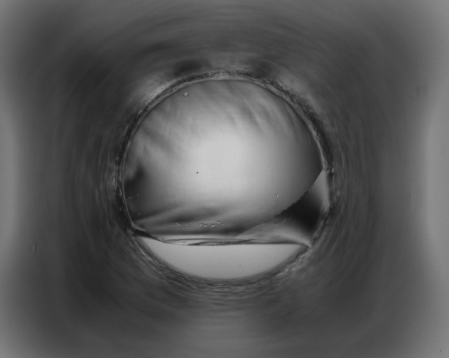 X0000086741169200705041402