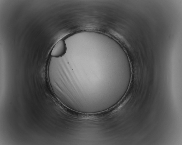 X0000086741170200705041402