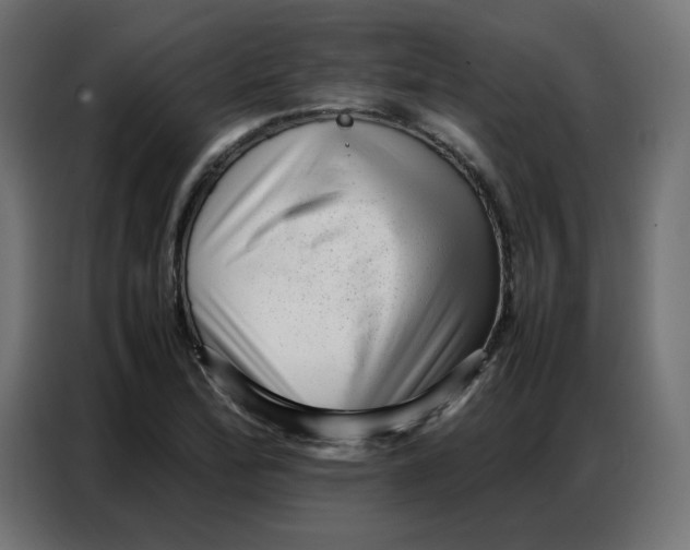 X0000086741172200705041401