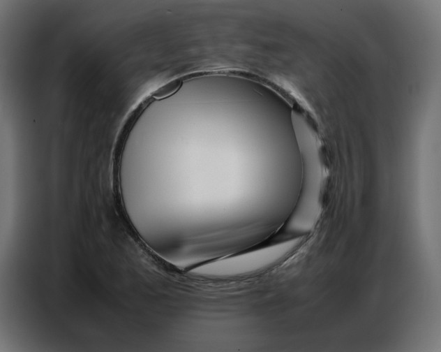 X0000086741173200705041401