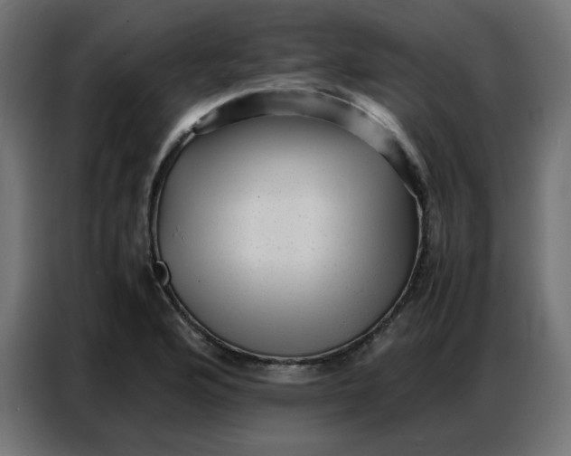 X0000086741176200705041401