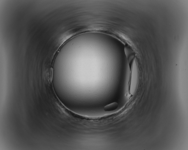 X0000086741177200705041401