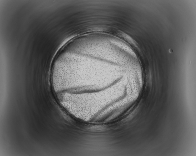 X0000086741178200705041401