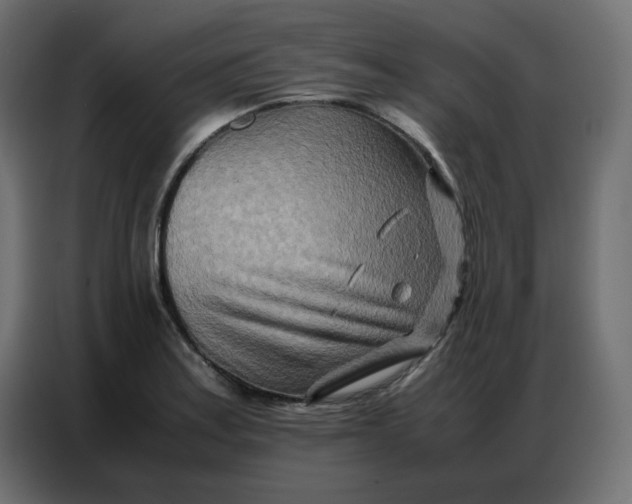 X0000086741179200705041401