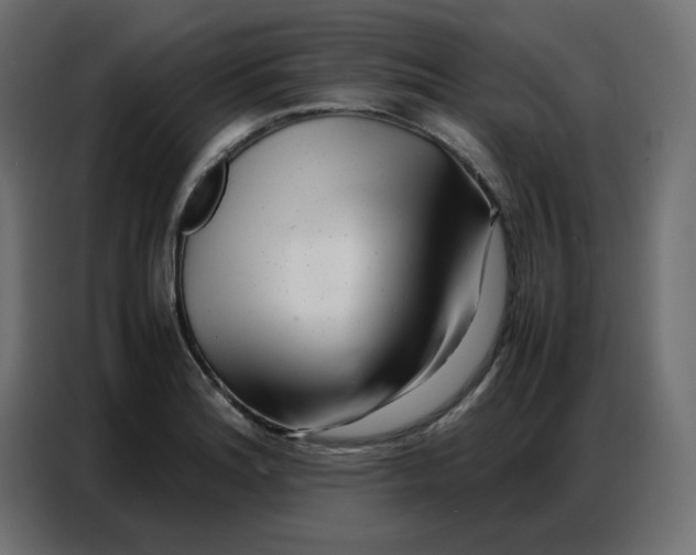 X0000086741180200705041401