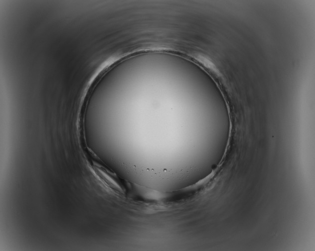 X0000086741181200705041401