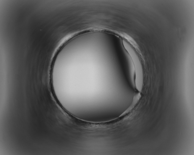 X0000086741183200705041401