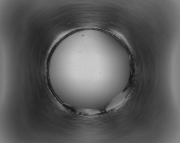 X0000086741184200705041401