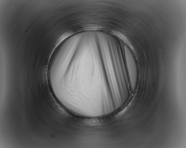 X0000086741186200705041401