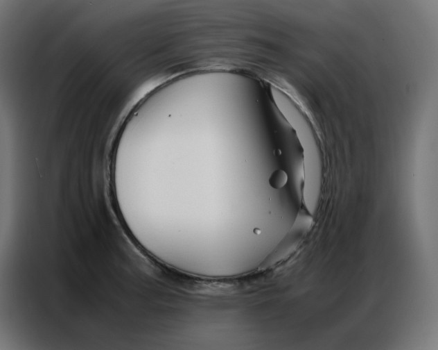 X0000086741187200705041401