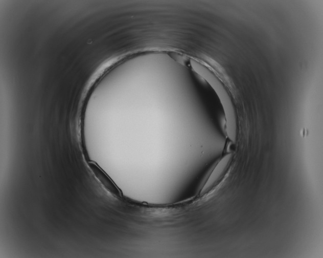 X0000086741188200705041401