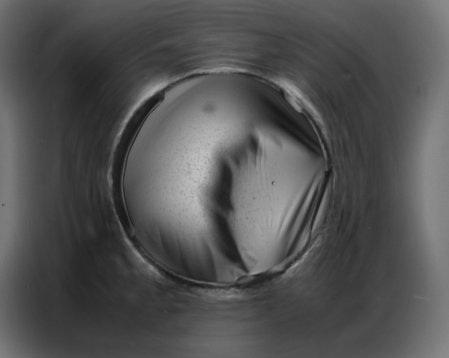 X0000086741189200705041401