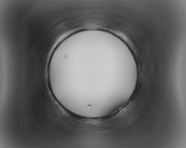 X0000086741191200705041401