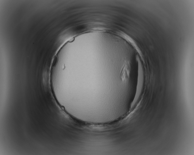 X0000086741194200705041401