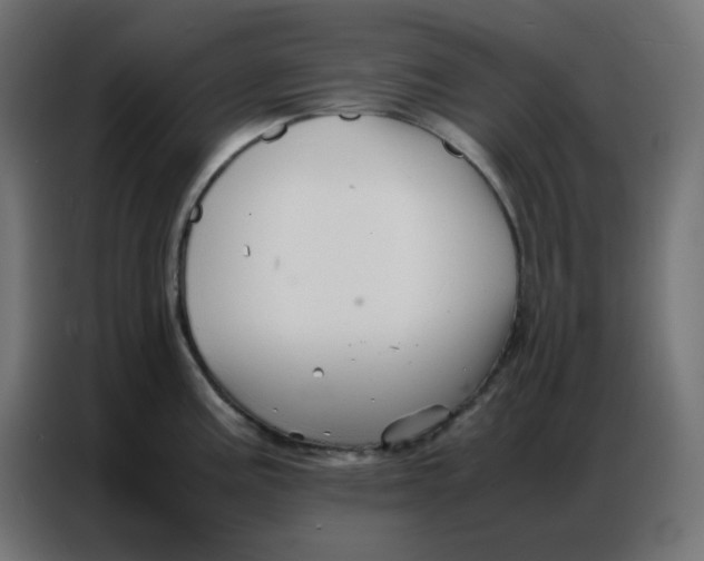 X0000086741195200705041401