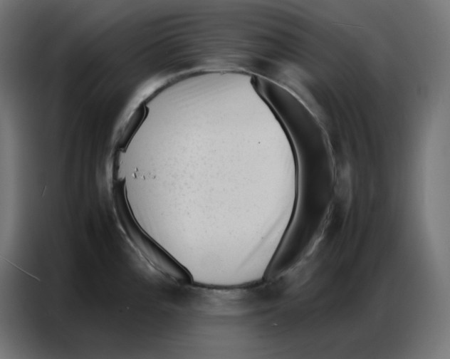 X0000086741196200705041401