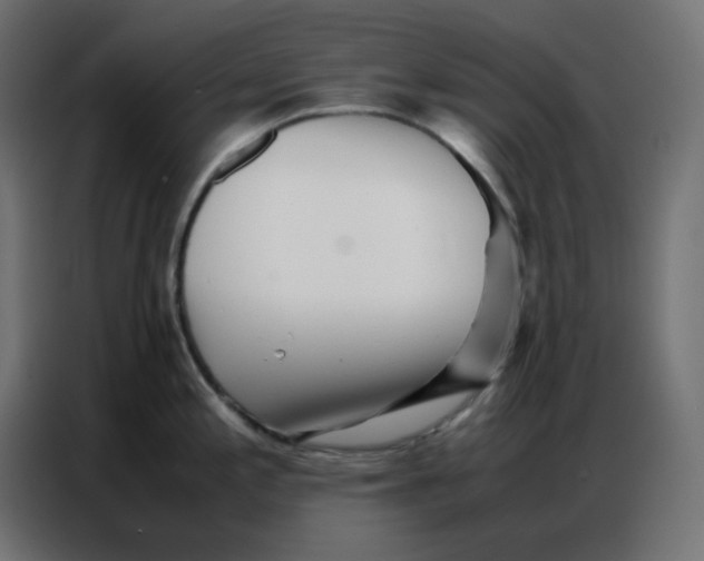 X0000086741197200705041401