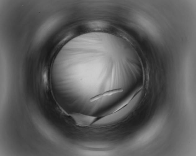 X0000086741198200705041401