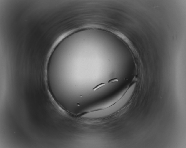 X0000086741199200705041401