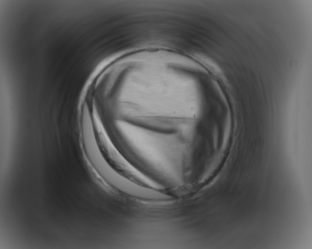 X0000086741200200705041401