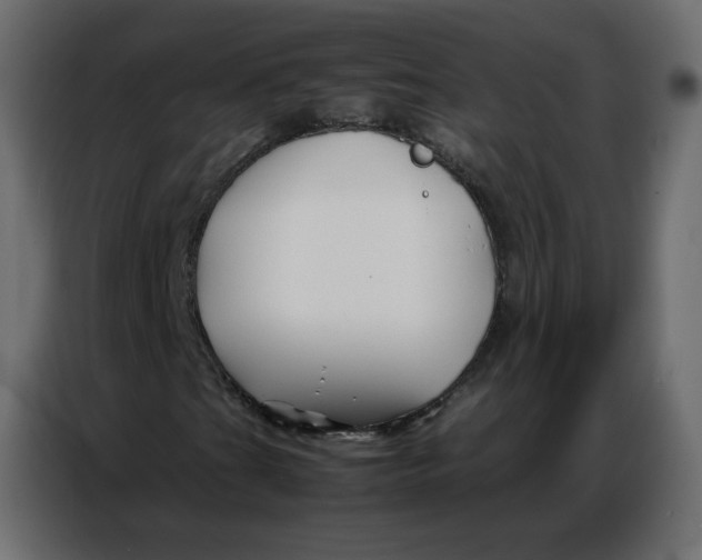 X0000086741201200705041400