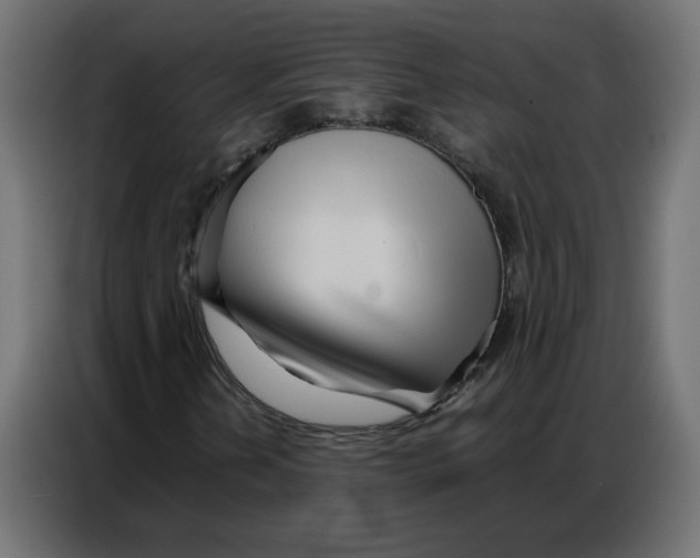 X0000086741202200705041401