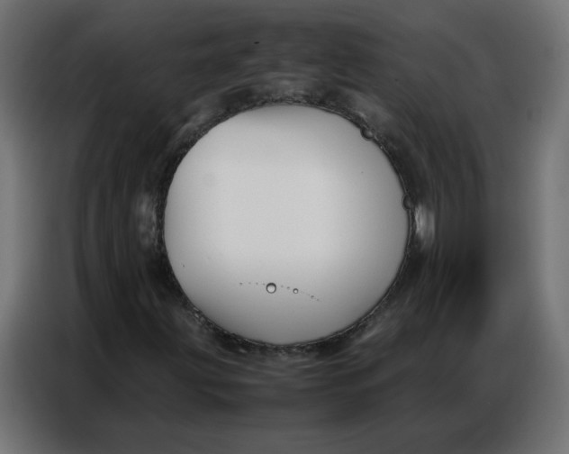 X0000086741203200705041401