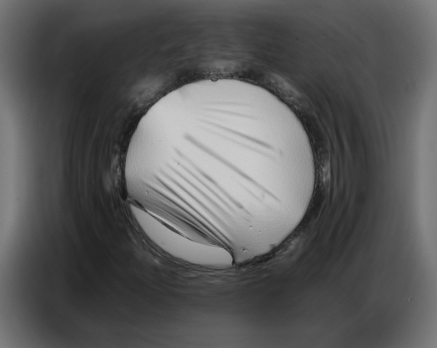 X0000086741204200705041401