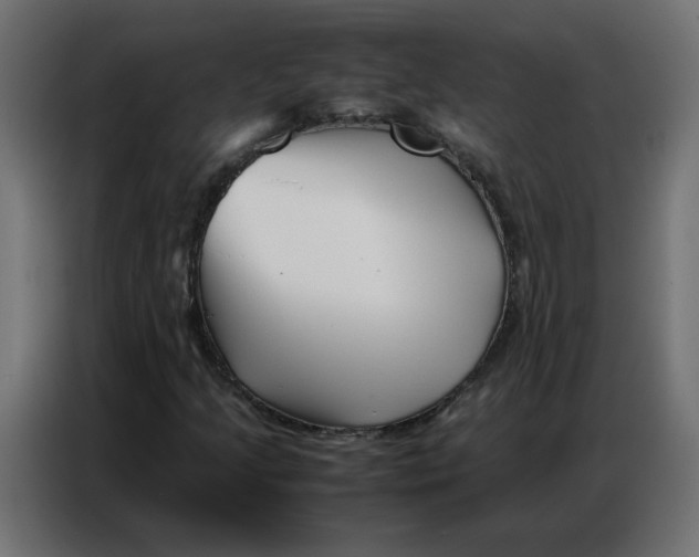 X0000086741205200705041401